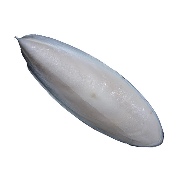 Cuttlefish Bone Large Pack of 5