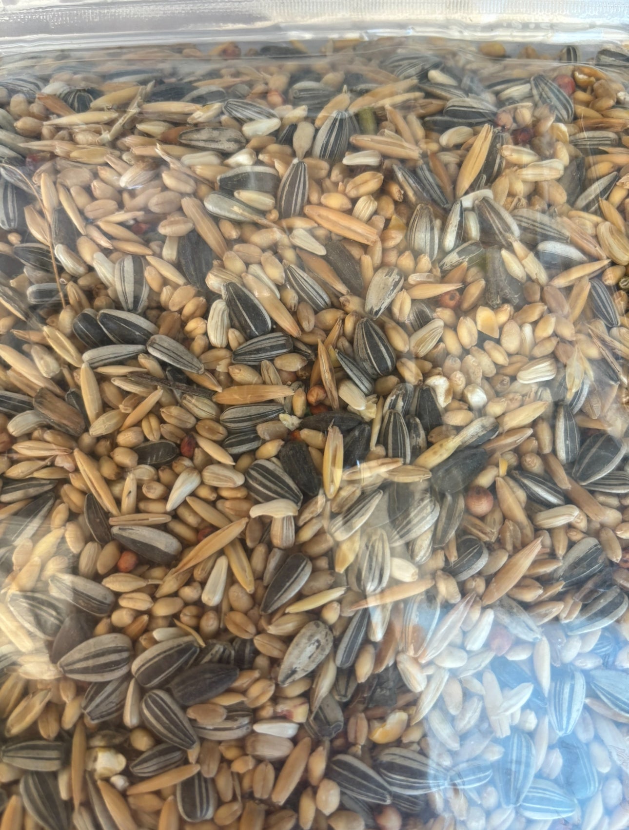 Avigrain Cocky Mix Seed 3kg