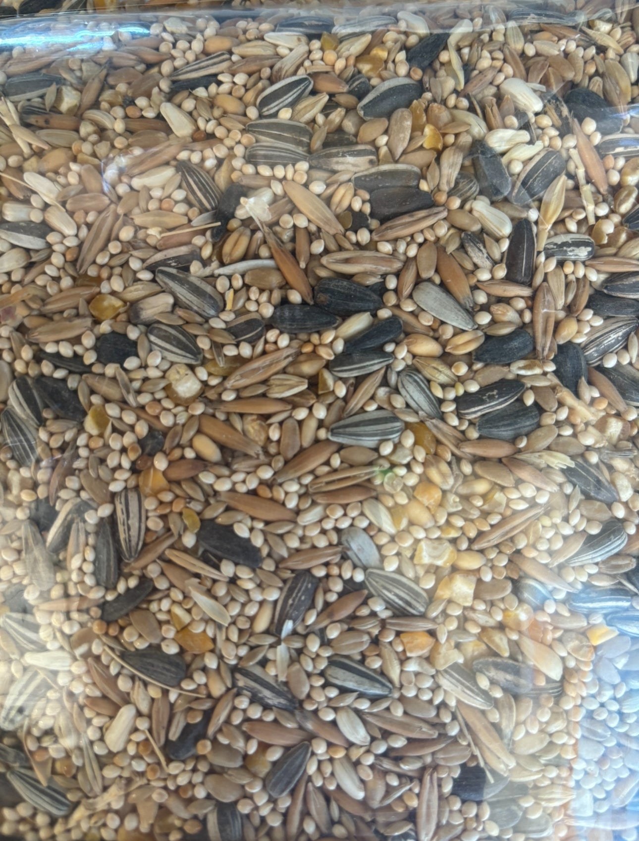 Avigrain Small Parrot Seed Mix 3kg