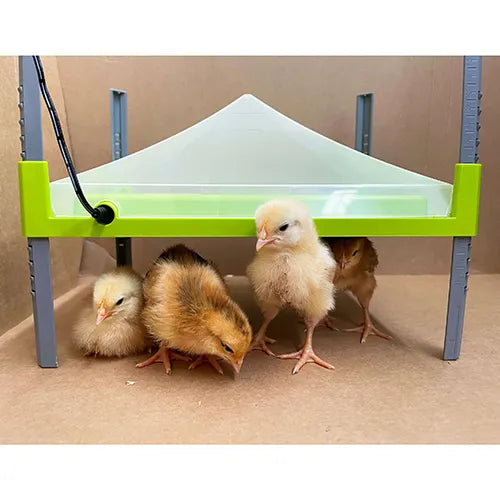 Cover Only For Chick Heating Plate - To Fit Plate 23 x 30.5cm
