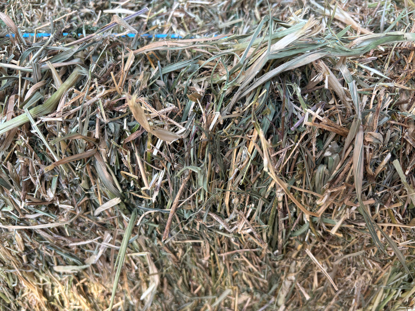 Meadow Hay Bale NEW SEASON