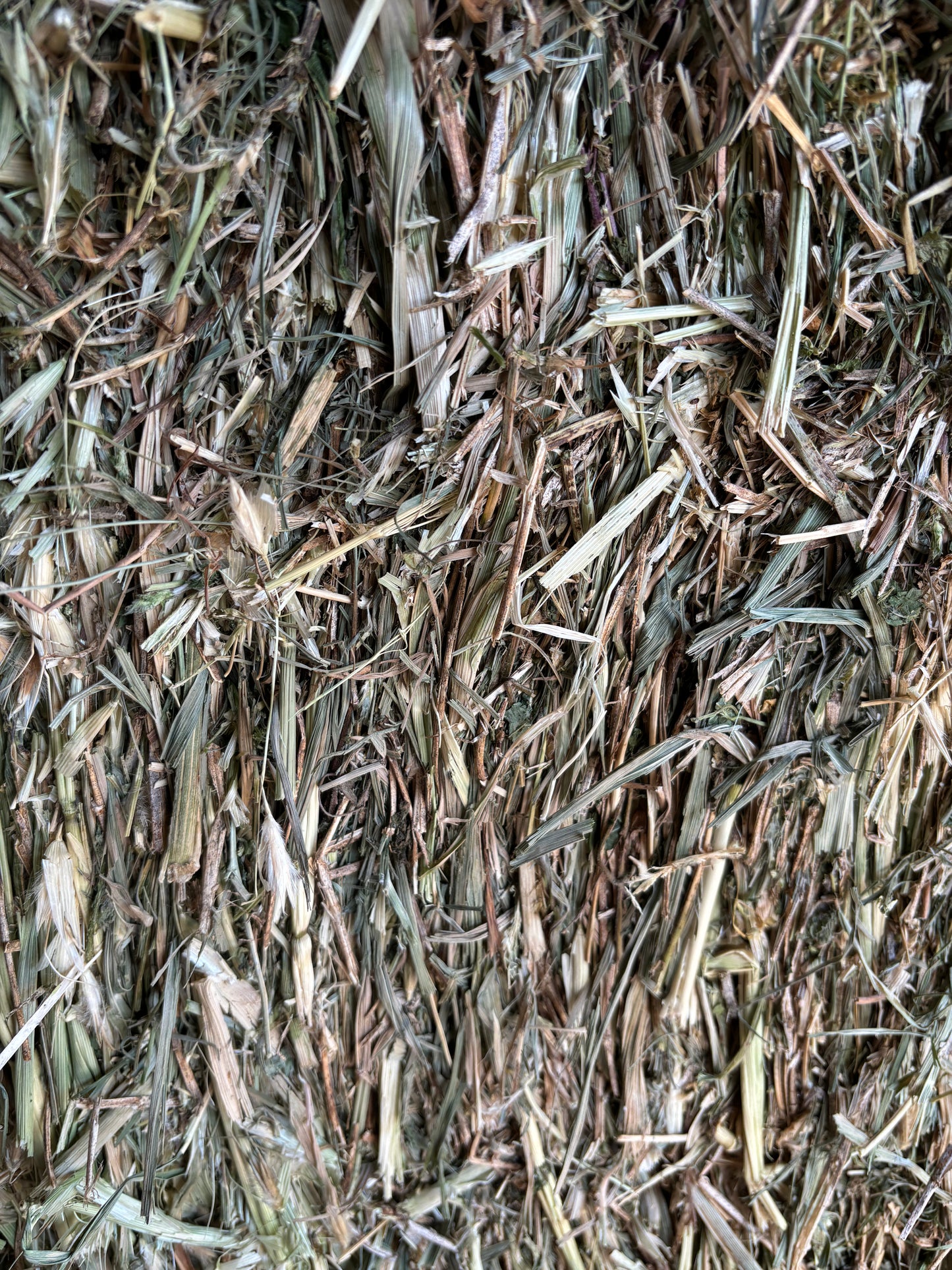 Meadow Hay Bale NEW SEASON