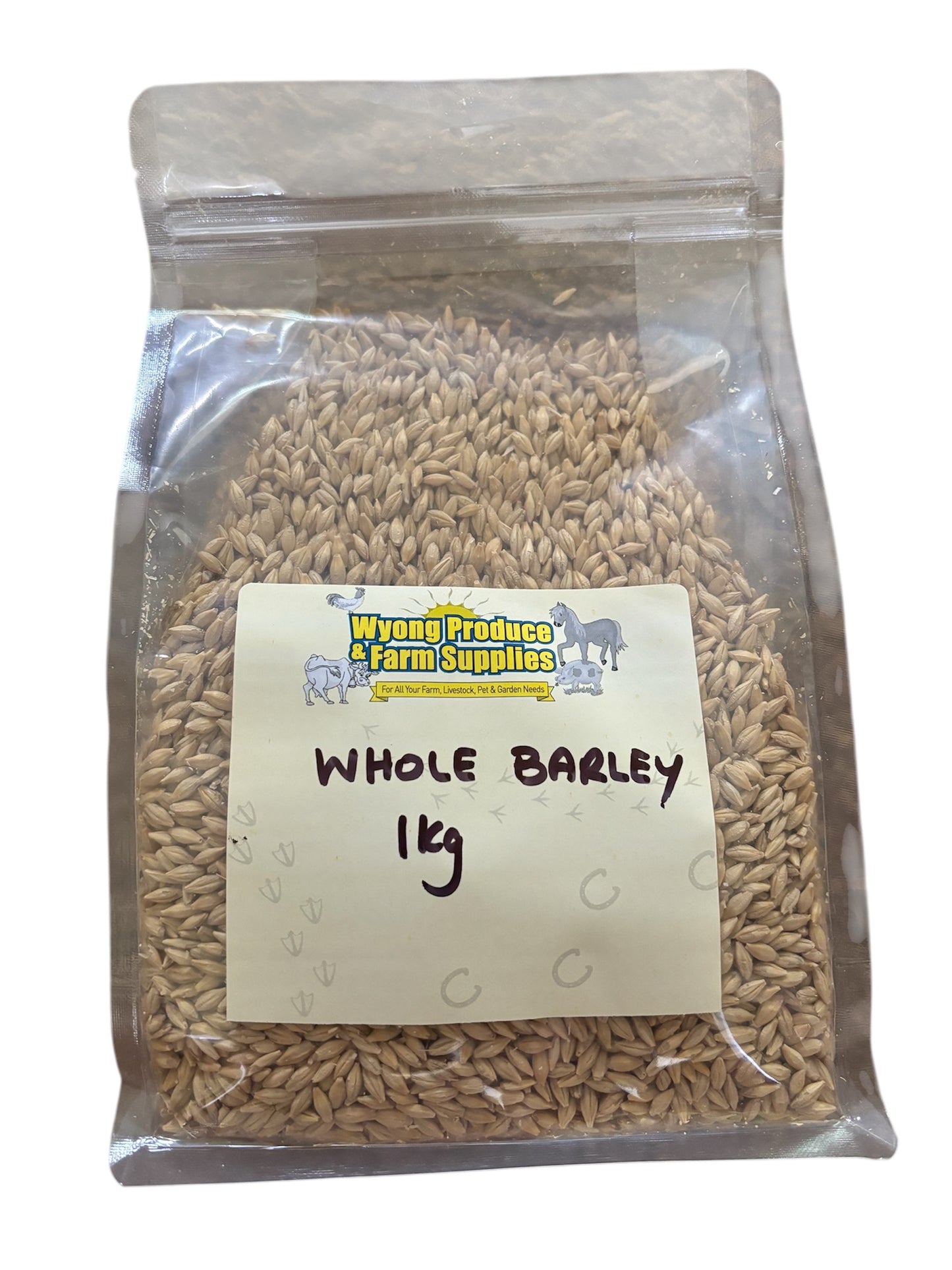 Whole Barley Grain 1kg