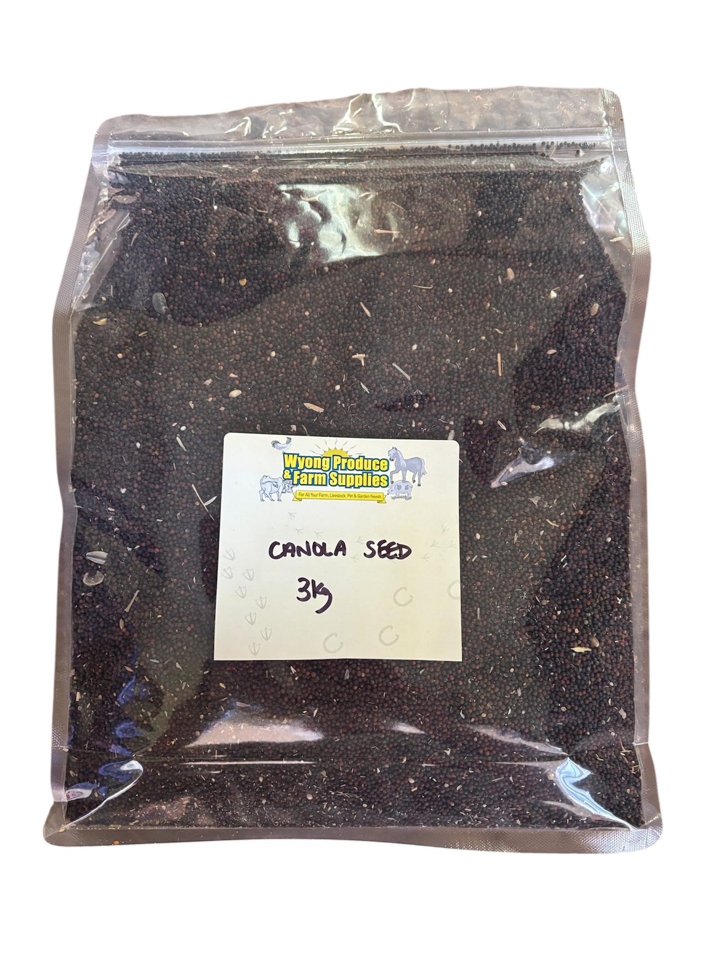Canola Seed 3kg