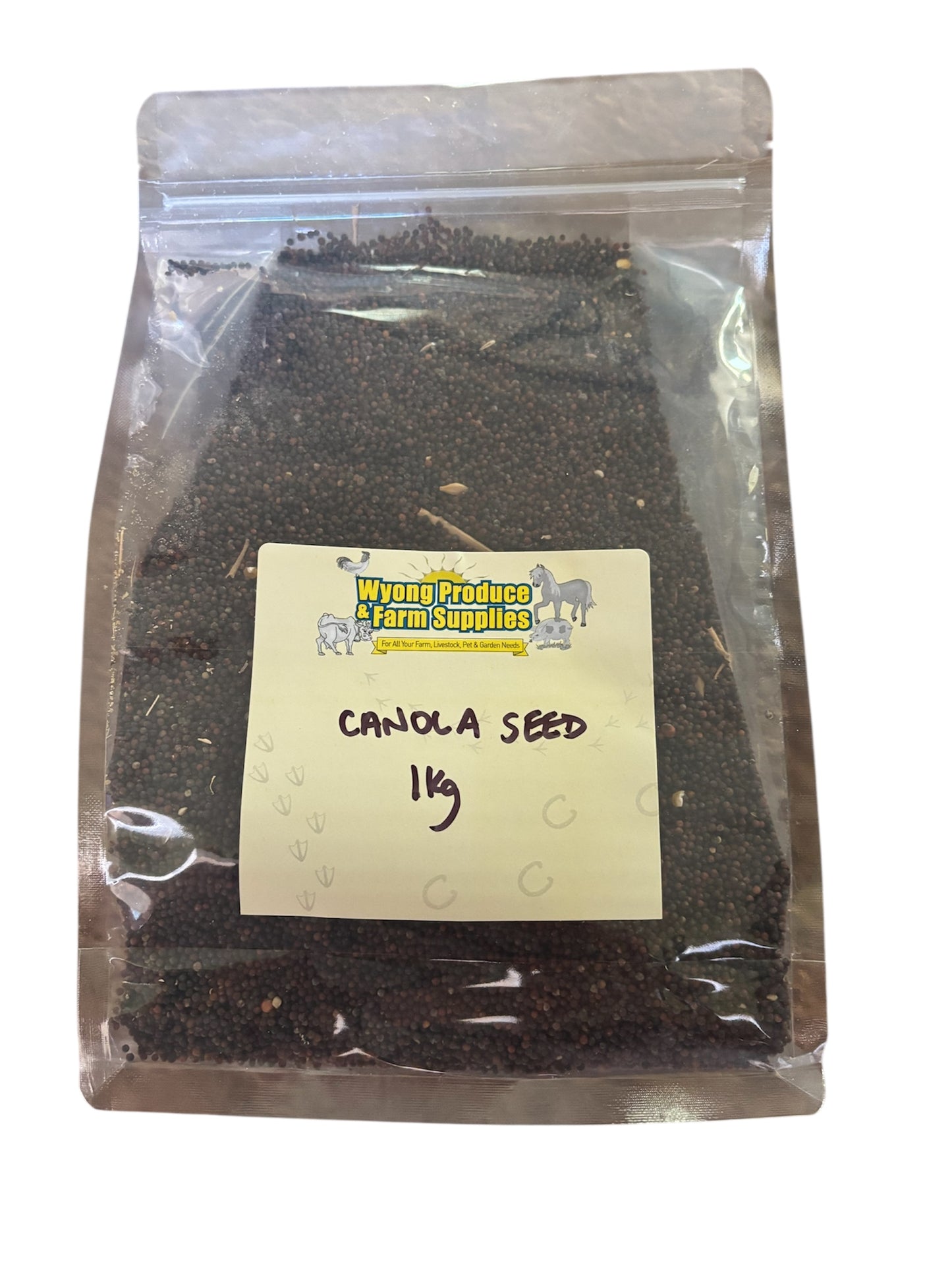 Canola Seed 1kg