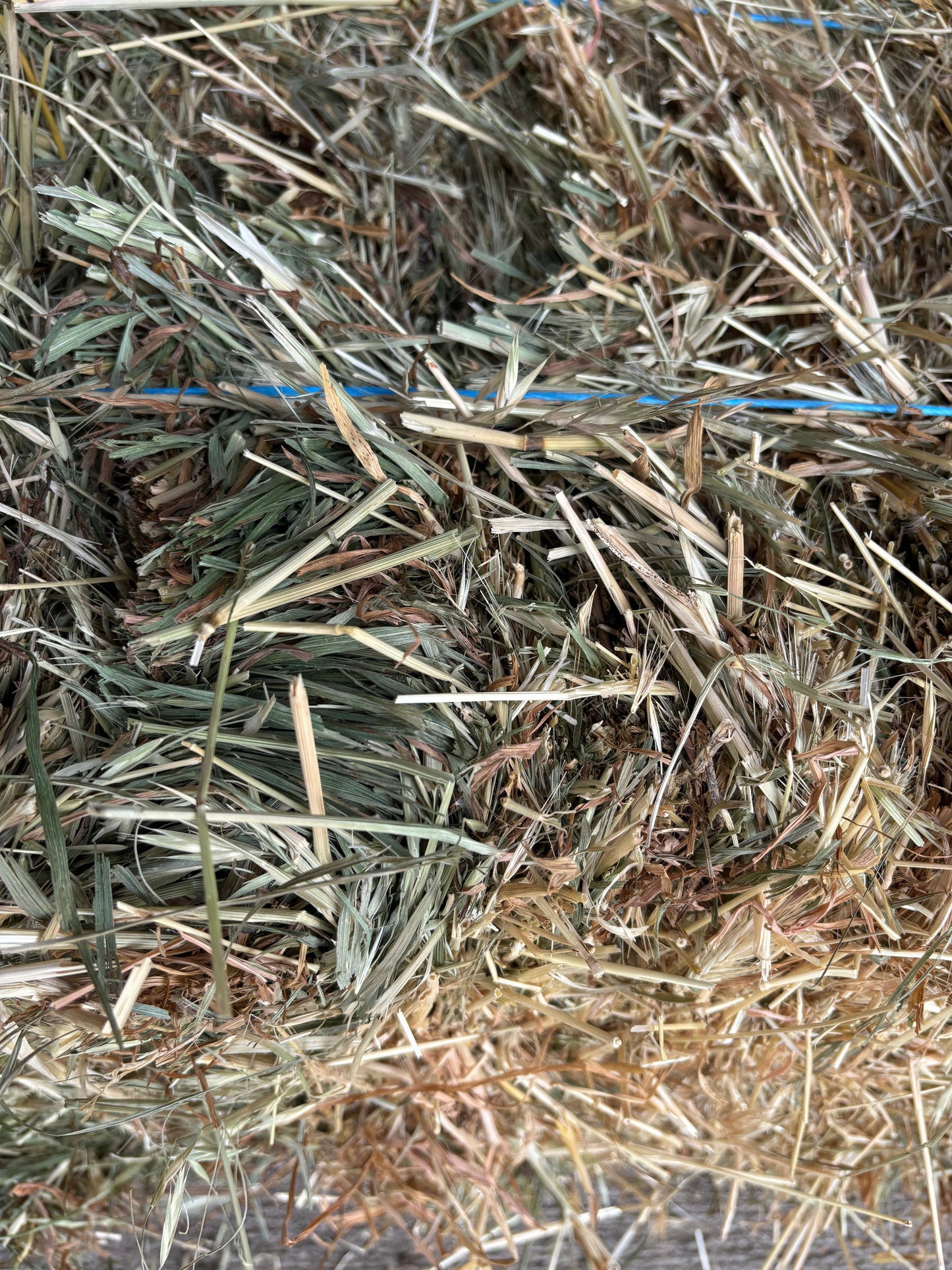 Meadow Hay Bale