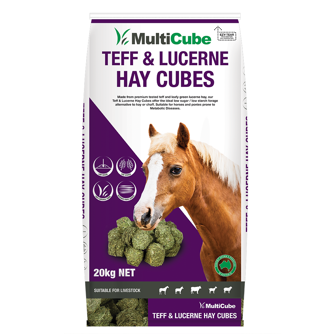 Multicube Hay Cubes LUCERNE & TEFF 20kg Bag