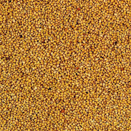 Panorama (Hungarian) Millet Seed 20kg