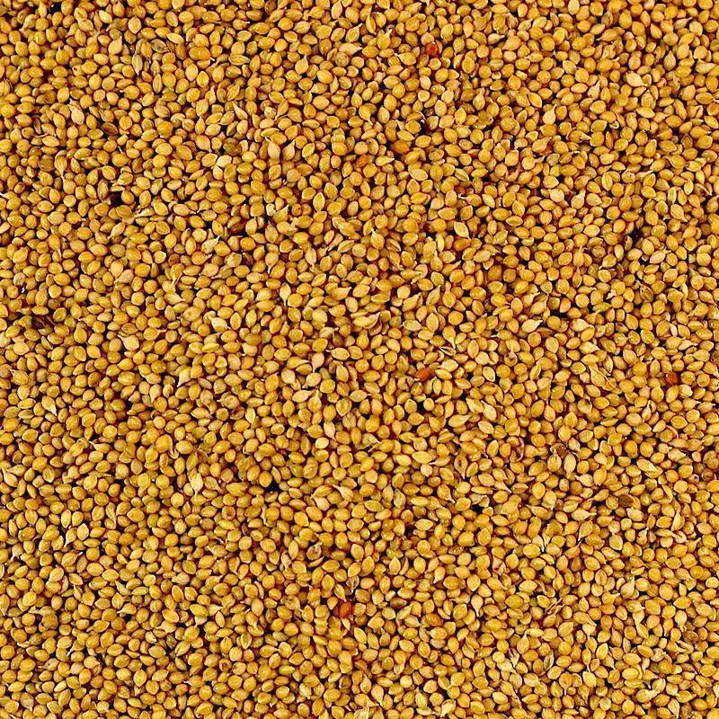 Panorama (Hungarian) Millet Seed 1kg