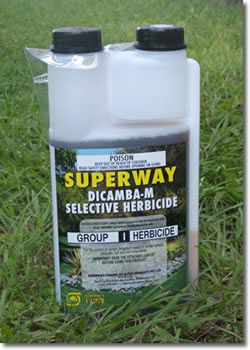 Superway Dicamba-M 1 Litre Selective Broadleaf Herbicide