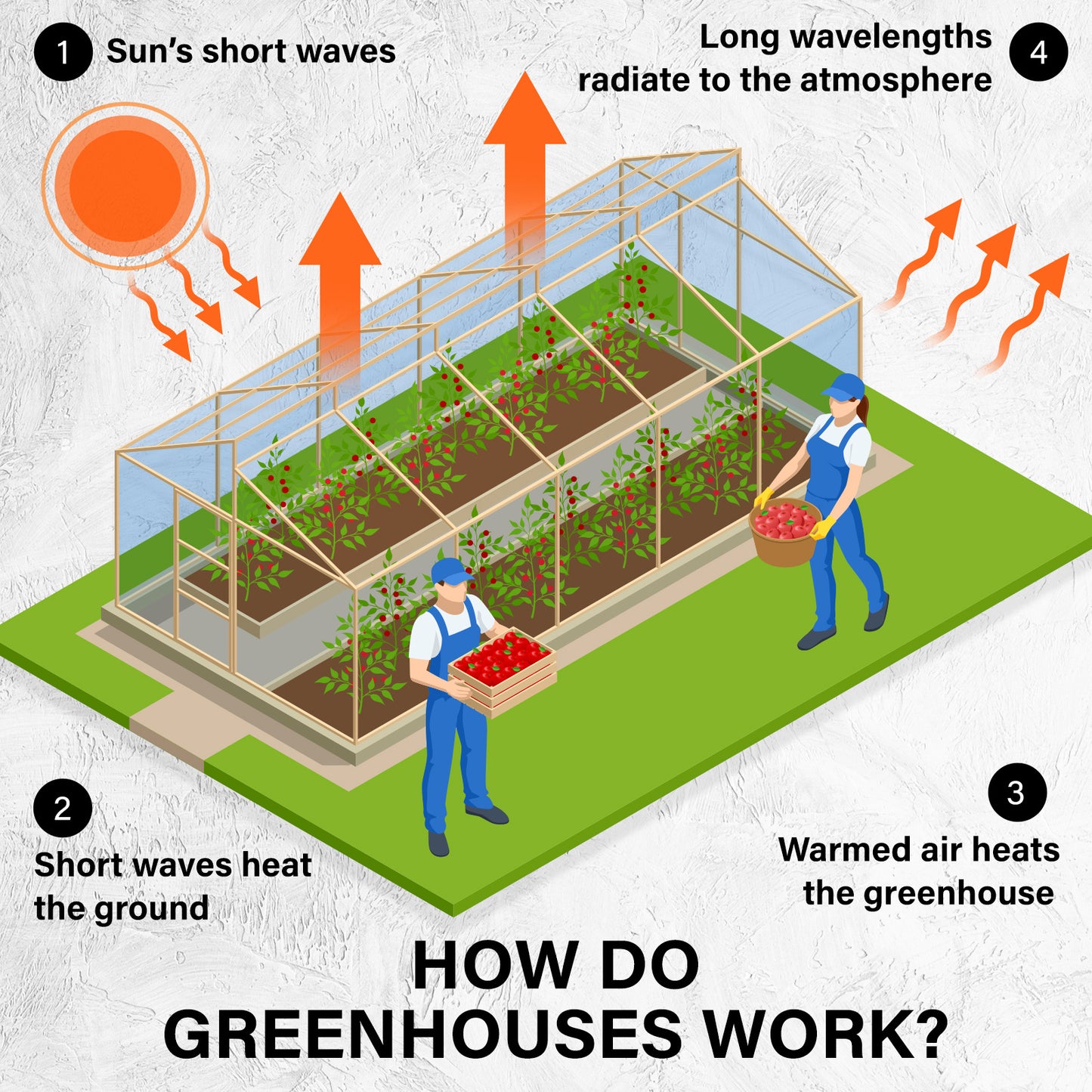 Greenhouse Walk-In Shed 3x2x2M