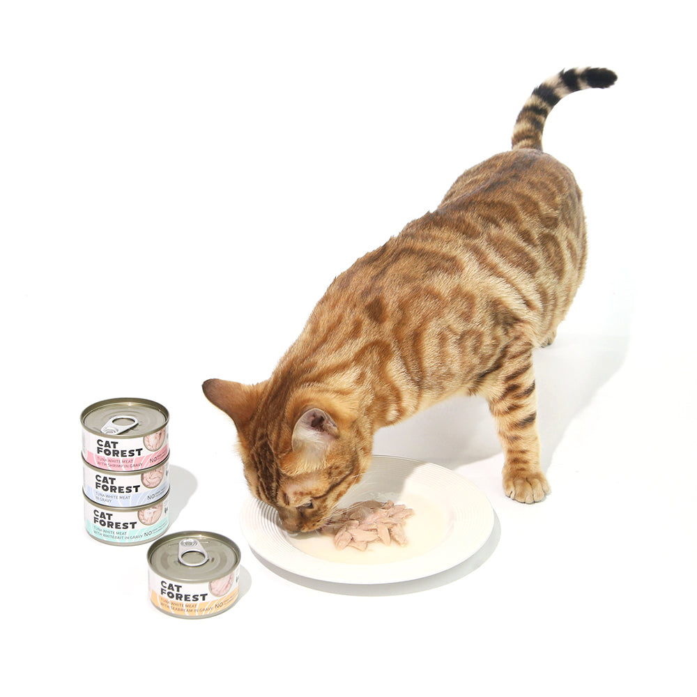 Cat Forest Classic Tuna White Meat With Shrimp In Gravy Cat Canned Food 85G X 24 Bulk Buy