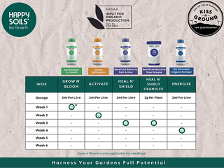 1L Happy Soils Grow n' Bloom - Germination & Seedlings