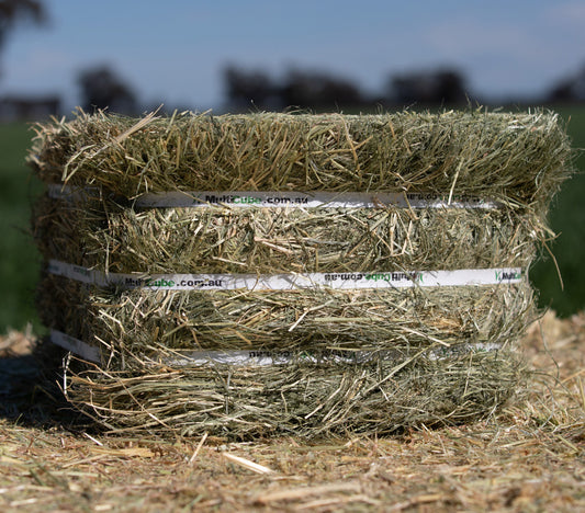 Teff Hay Bale Low Sugar Pasture Hay - Compressed Bale