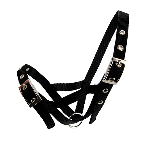 Bainbridge Webbing Cattle Halter - Cow