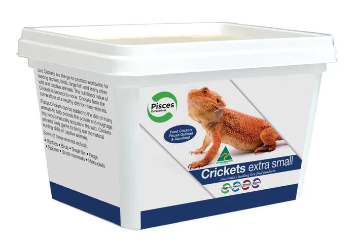 Live Crickets Tub - Extra Small