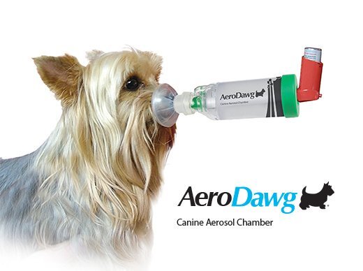 AeroDawg Small - Light weight, uni-nostril Metred Dose Inhaler (MDI) For Dogs
