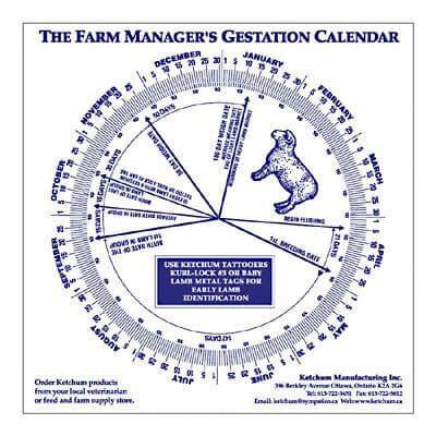 Sheep Gestation Calendar