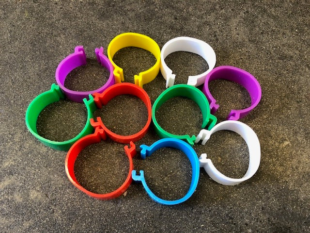 Poultry Leg Bands Plastic 25mm (XL Poultry) Bag Of 10 Mixed Colours