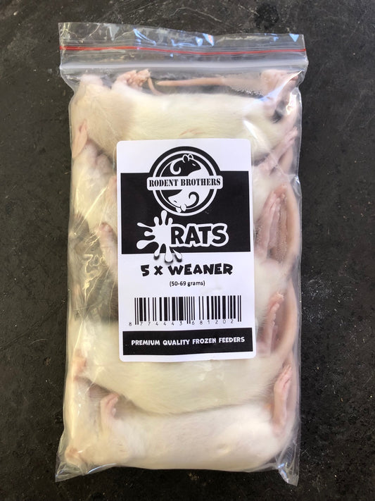 RB Frozen Rat - Weaner 5 Pack