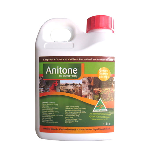 Anitone 1 Litre Wellness & Vitality Liquid Supplement For All Animals