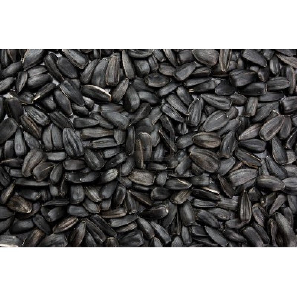 Black Sunflower Seeds 3kg