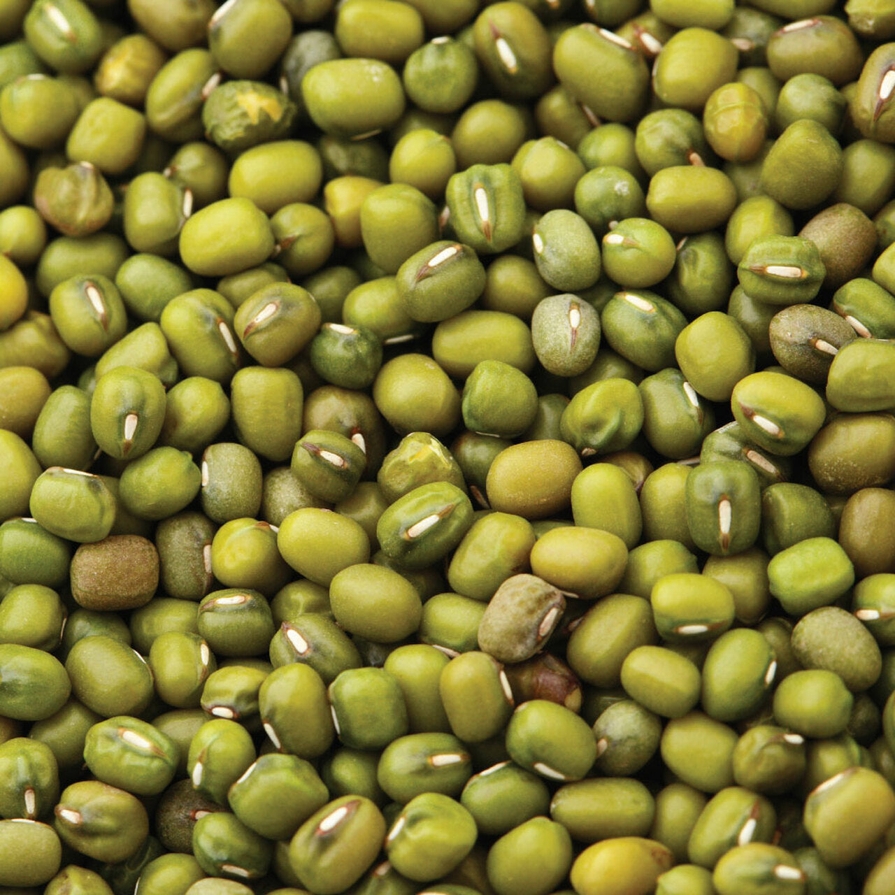 Mung Beans 1kg