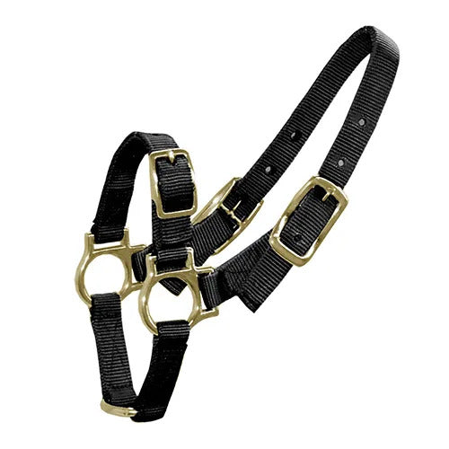 Sheep Or Goat Webbing Halter