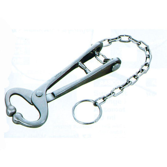 Bull Lead With Chain