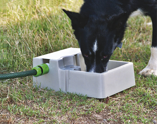 Bainbridge Automatic Pet Waterer. 2 Litre Capacity. Ideal For Dogs, Cats, Chickens, Rabbits etc