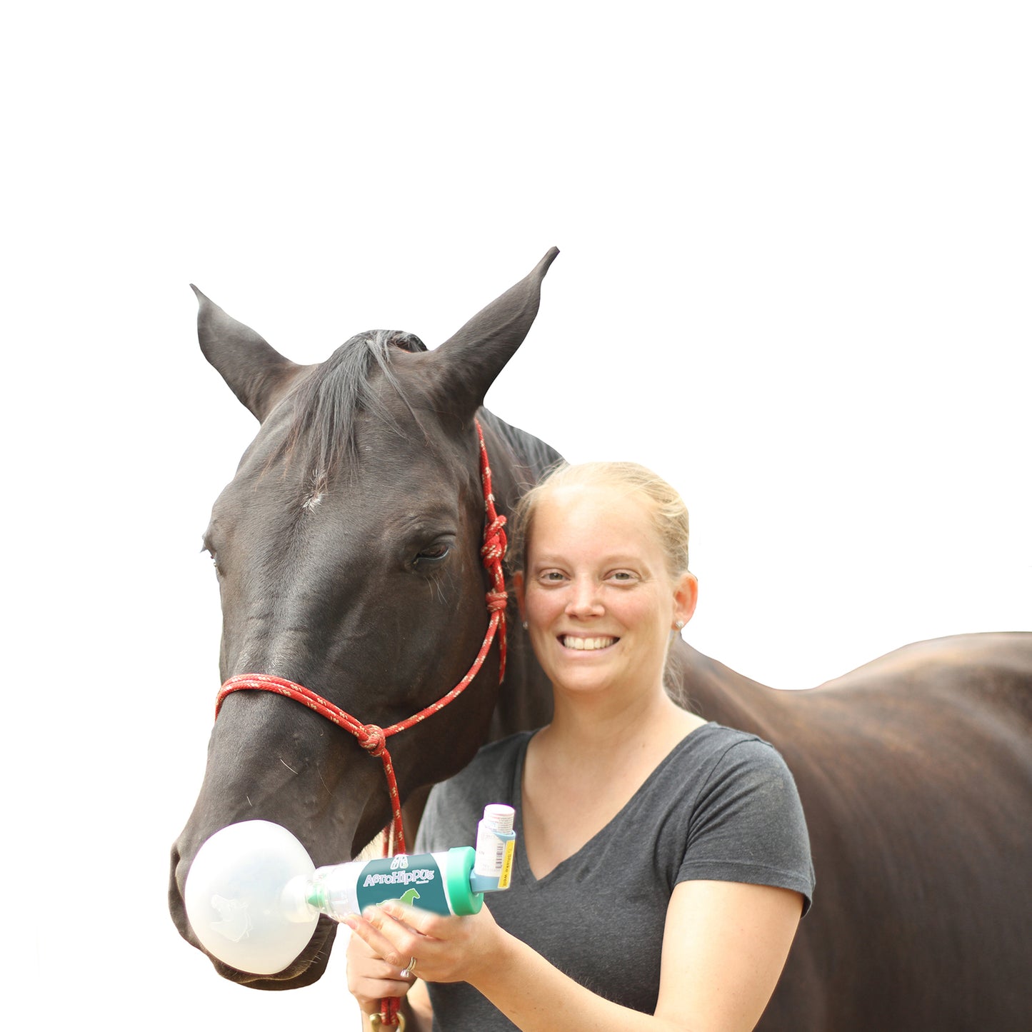 AeroHippus. Light weight, uni-nostril Metred Dose Inhaler For Horses