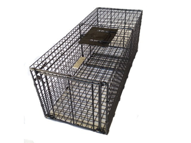 Bainbridge Animal Trap - Large