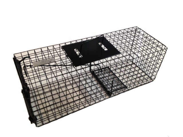 Bainbridge Animal Trap - Medium