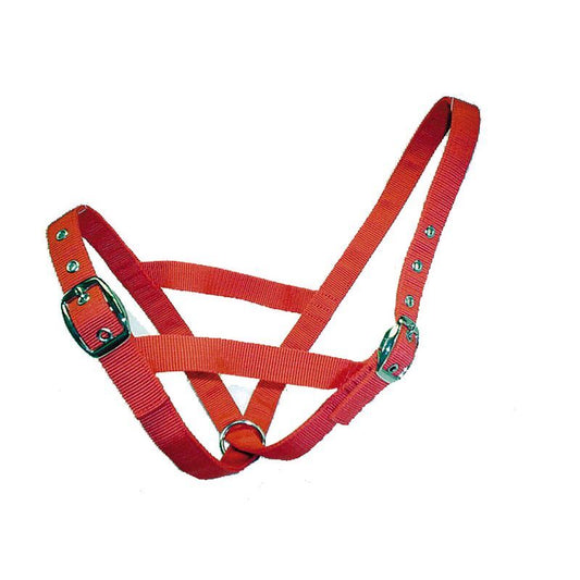 Bainbridge Webbing Cattle Halter - Calf