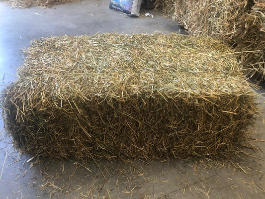 Rye Hay Bale